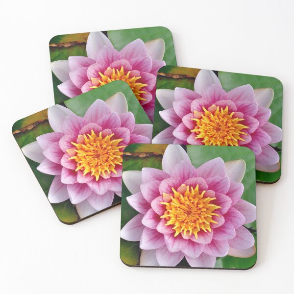 Item preview, Captivating Pink Water Lily designed and sold by DesignMore21.