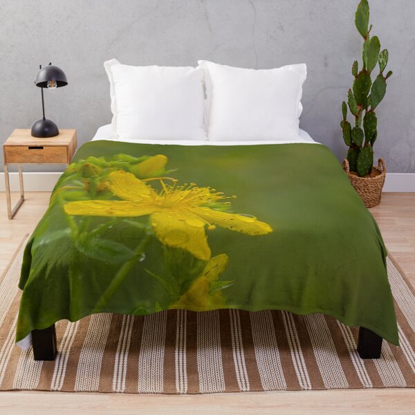 Item preview, Closeup of a Saint-John's wort flower designed and sold by xophotography.