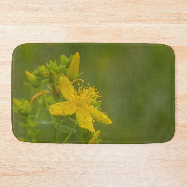 Item preview, Closeup of a Saint-John's wort flower designed and sold by xophotography.