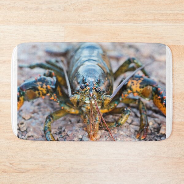 Item preview, Maine Lobster designed and sold by Cheryl Clegg Photo.