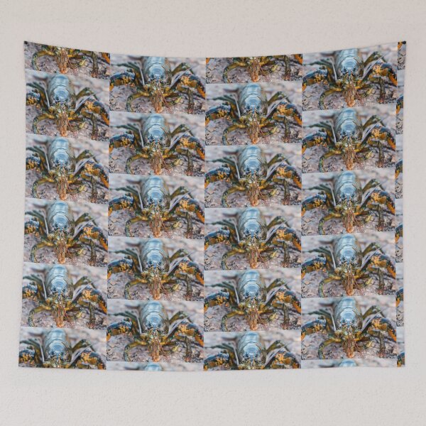 Item preview, Maine Lobster designed and sold by Cheryl Clegg Photo.