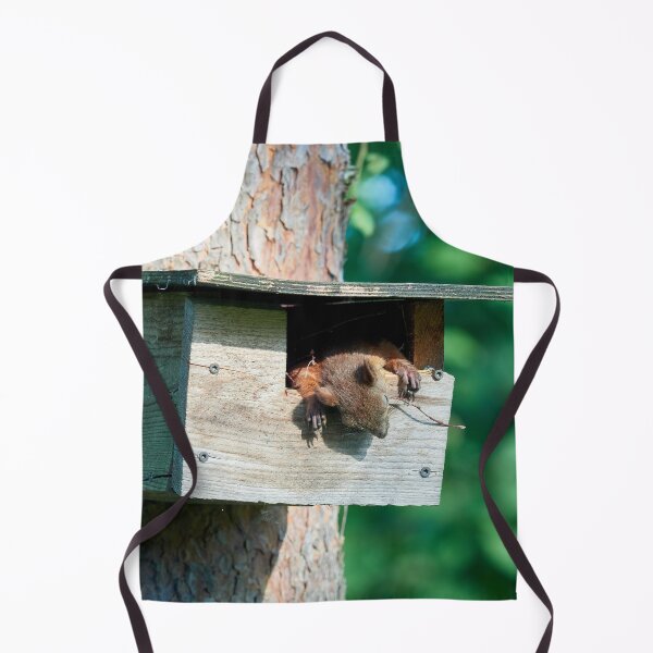 Item preview, Too hot to rock and roll too young to die. Eurasian red squirrel designed and sold by Jouko Lehto Photography.