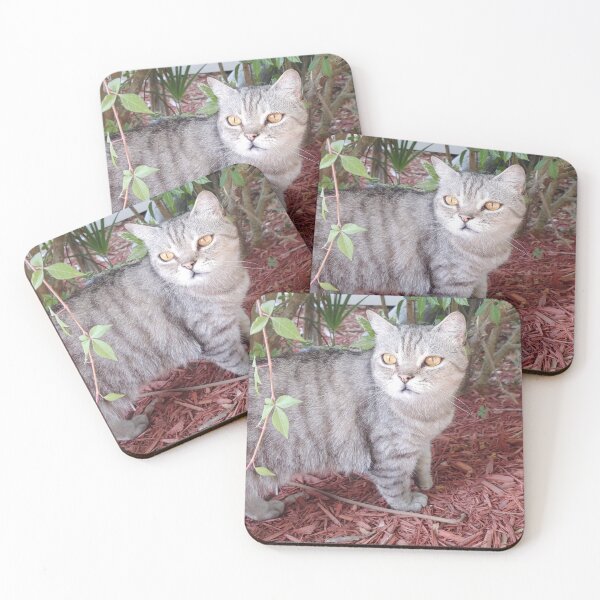 Item preview, Sweet stray designed and sold by GothikGoddess.