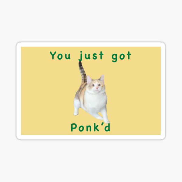 Scrungey Cat Sticker for Sale by fatfatpankocat in 2023