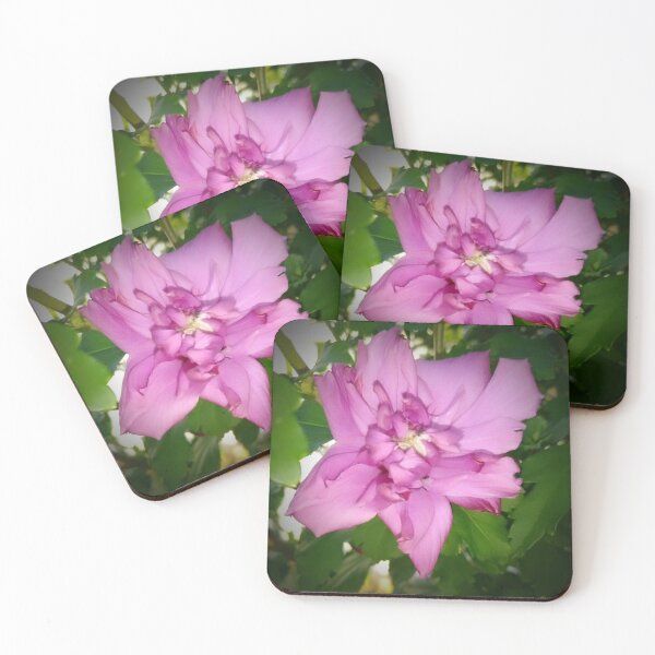 Aperçu de l'œuvre Rose de Sharon créée et vendue par ElphCreations.