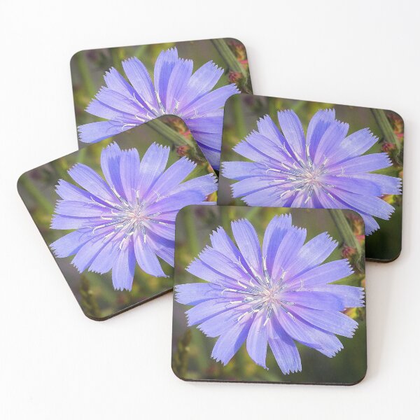 Item preview, Vibrant Chicory Flower designed and sold by DesignMore21.