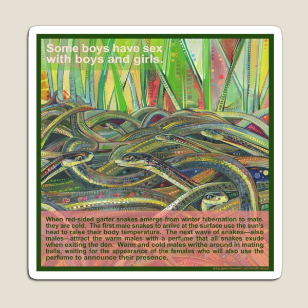 Love-in (Red-sided Garter Snake) Magnet