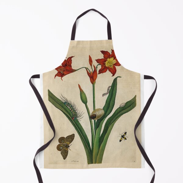 Item preview, Barbados lily with moth and sapsuckling insect designed and sold by Lloyd Library & Museum.