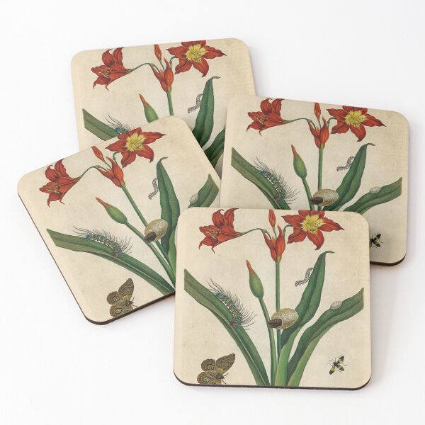 Item preview, Barbados lily with moth and sapsuckling insect designed and sold by Lloyd Library & Museum.