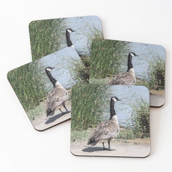 Item preview, I Am Not Flying Back to Canada! designed and sold by heatherfriedman.
