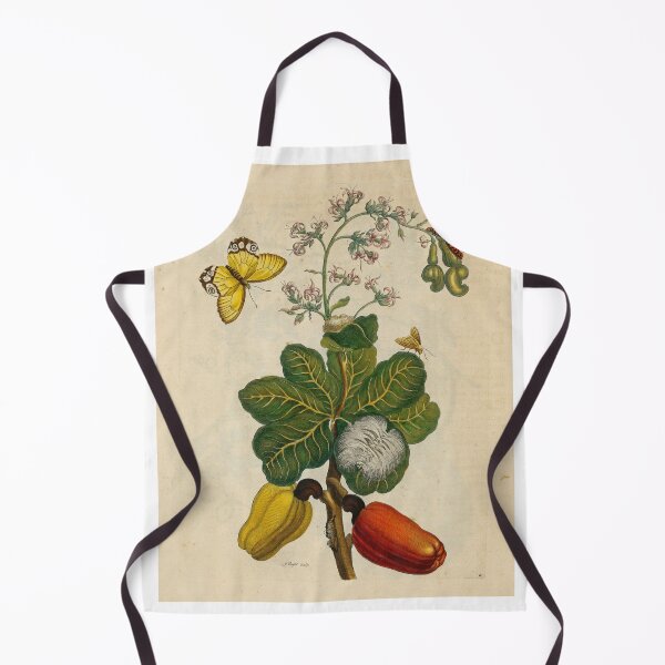 Item preview, Cashew tree. amber phantom butterfly and tussock moth designed and sold by Lloyd Library & Museum.