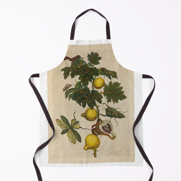 Item preview, Nipple fruit and leaf mantis designed and sold by Lloyd Library & Museum.
