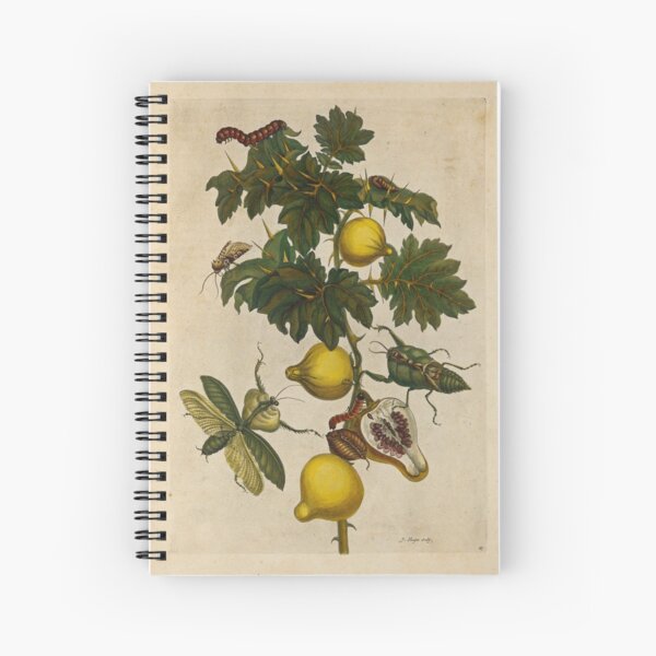Nipple fruit and leaf mantis Spiral Notebook