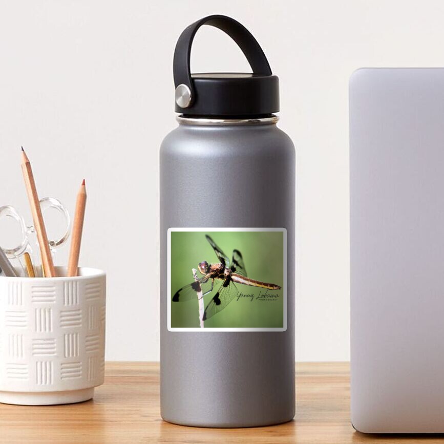 Dragonfly of the enchanted forest by Yannis Lobaina Sticker