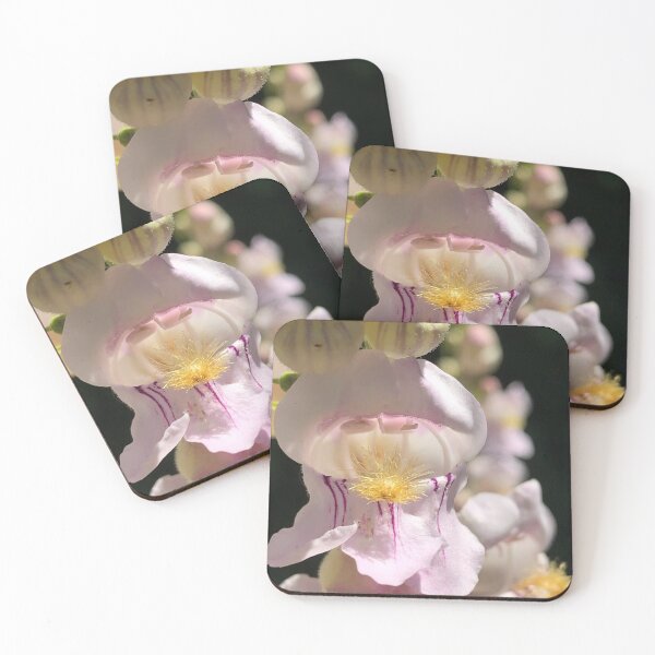Item preview, Wild snapdragon designed and sold by Plantflowers.