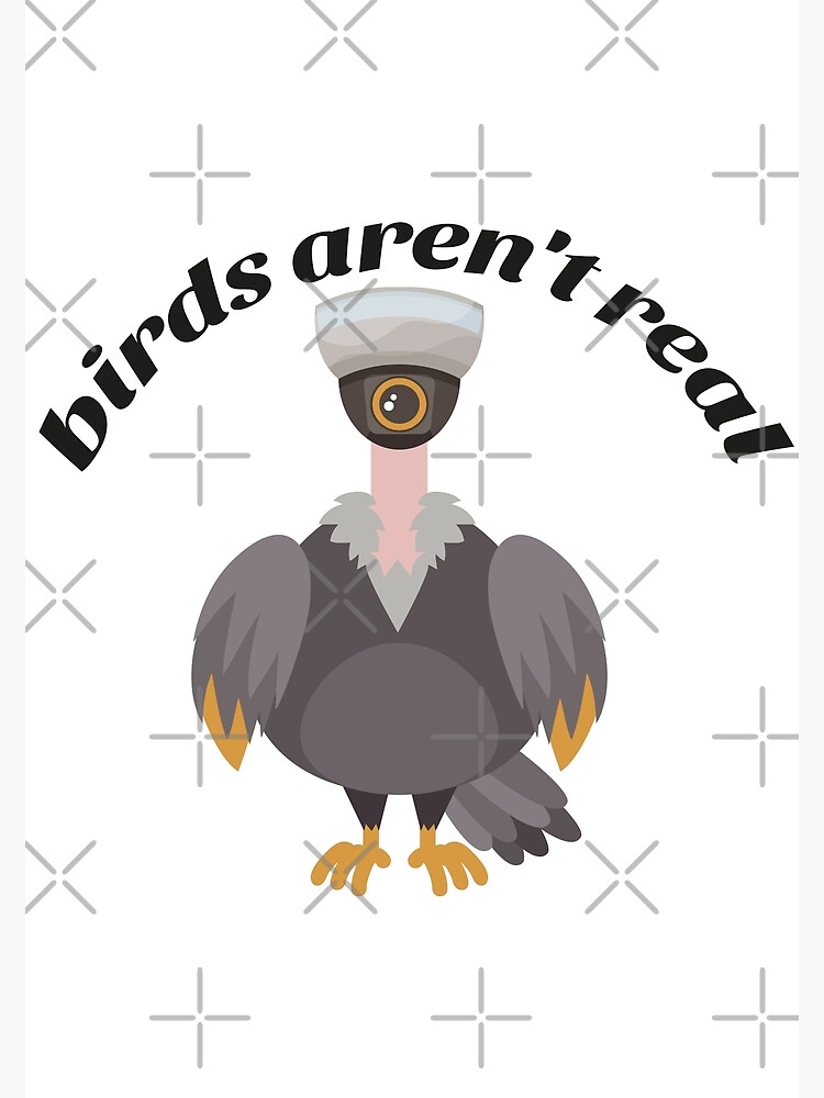 "birds aren't real, meme, bourgeoisie, funny, birds are not real, memes