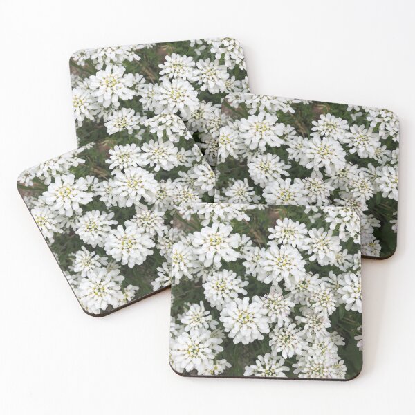 Item preview, White flower conglomerate  designed and sold by Plantflowers.
