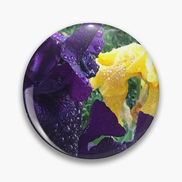 Item preview, Irises designed and sold by Plantflowers.