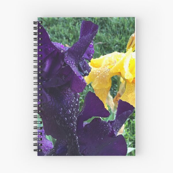 Item preview, Irises designed and sold by Plantflowers.