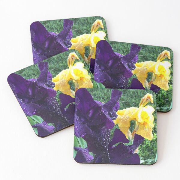 Item preview, Irises designed and sold by Plantflowers.