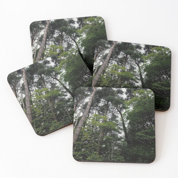 Item preview, Bosque 2 designed and sold by Seabarg.