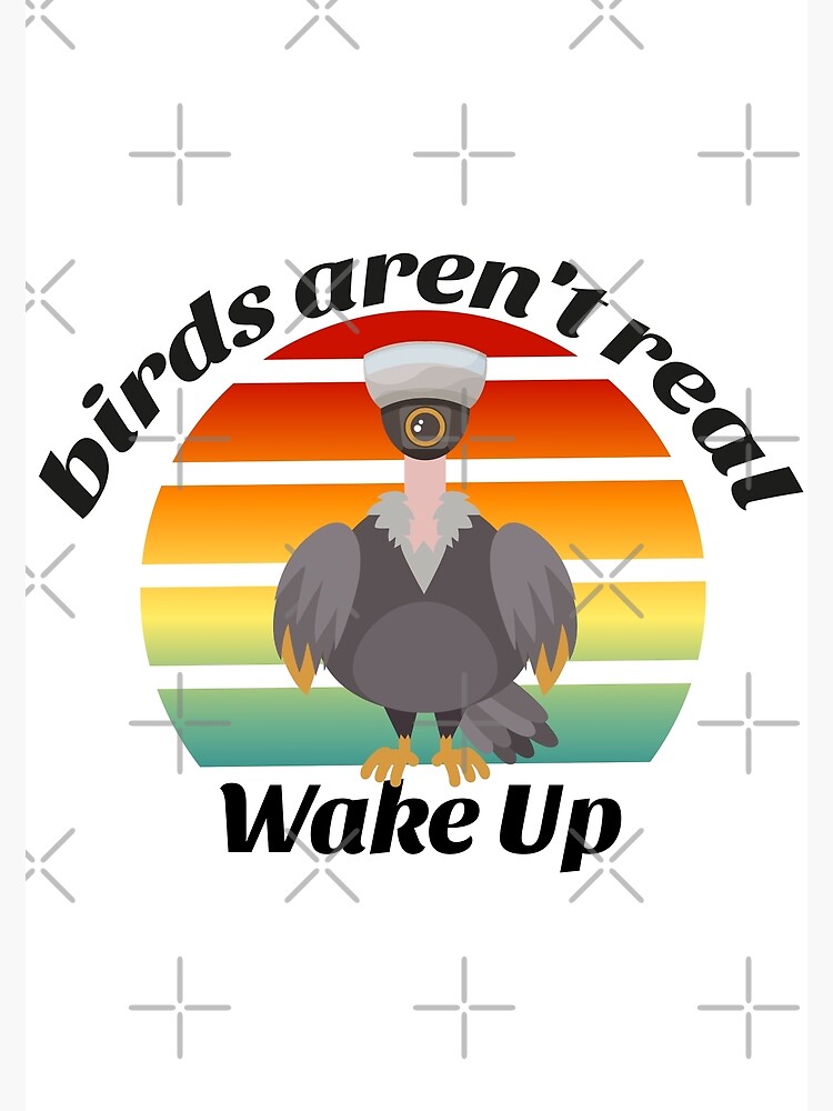 "birds aren't real, meme, bourgeoisie, funny, birds are not real, memes