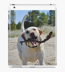 Untitled iPad Case/Skin