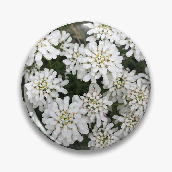 Item preview, White flower conglomerate  designed and sold by Plantflowers.
