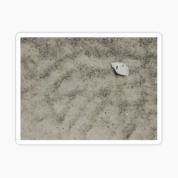 Item preview, 45 Cents designed and sold by AGODIPhoto.