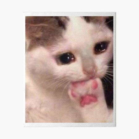 Decoracion Meme Triste Cara Redbubble