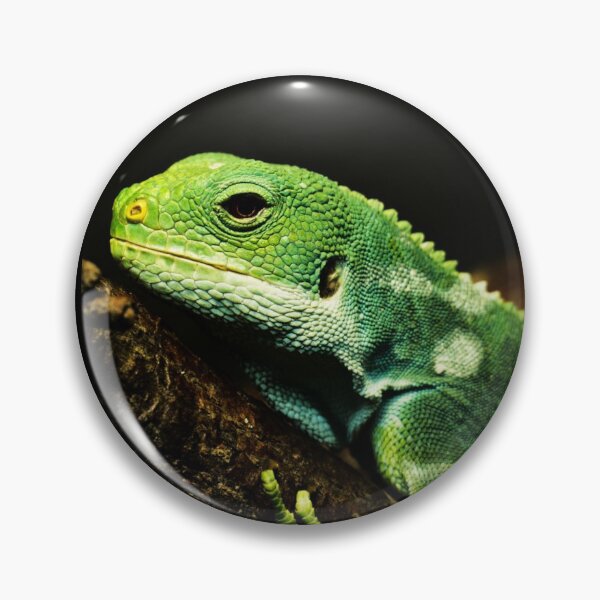 Item preview, Brachylophus fasciatus - lizard on a branch  designed and sold by Michaelerch.