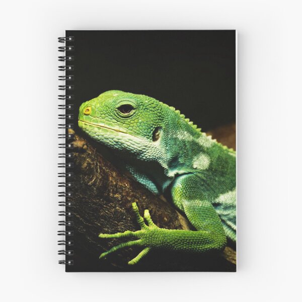 Item preview, Brachylophus fasciatus - lizard on a branch  designed and sold by Michaelerch.