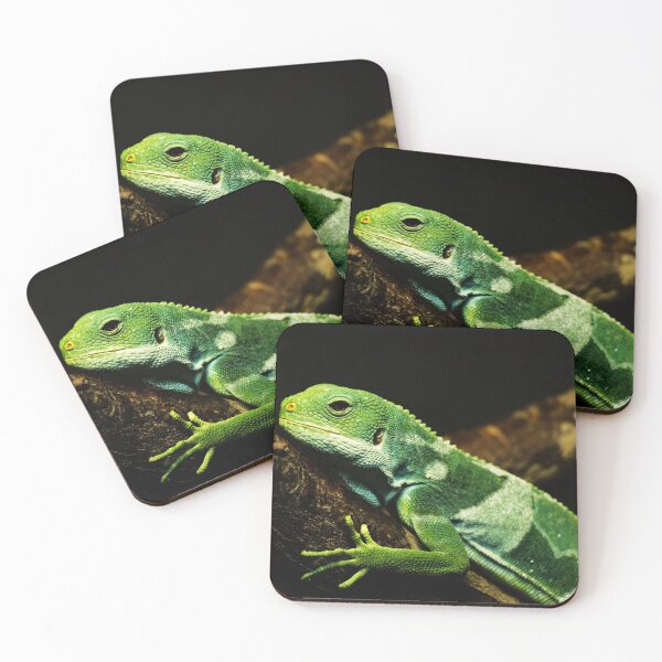 Item preview, Brachylophus fasciatus - lizard on a branch  designed and sold by Michaelerch.