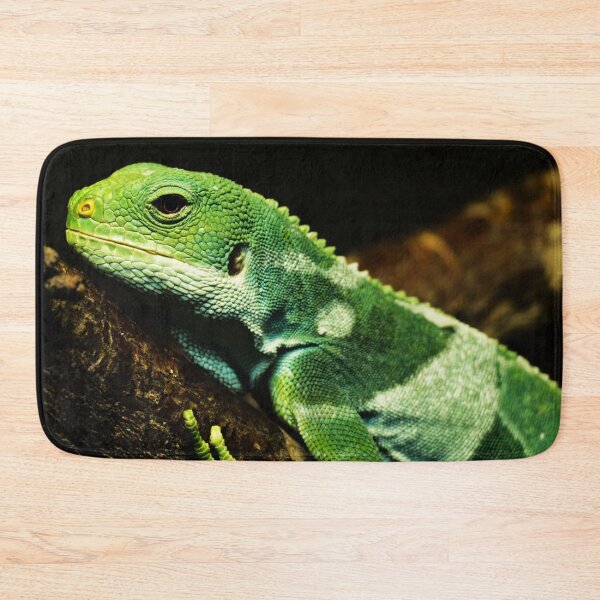 Item preview, Brachylophus fasciatus - lizard on a branch  designed and sold by Michaelerch.