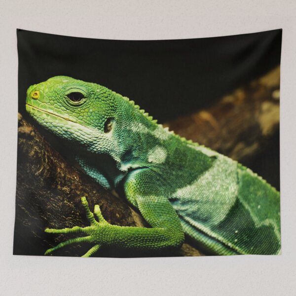 Item preview, Brachylophus fasciatus - lizard on a branch  designed and sold by Michaelerch.
