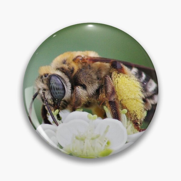 Item preview, Bee With Pollen on White Flowers designed and sold by Kayleigh Wilson.