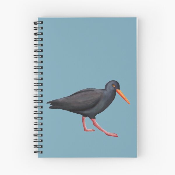 Item preview, Black Oystercatcher designed and sold by Squiddllr.