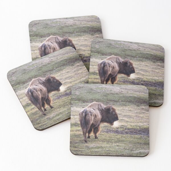 Item preview, Bison Breath designed and sold by PhotoArt by Joan Carroll.