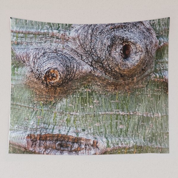 Item preview, Quasimodo designed and sold by heatherfriedman.