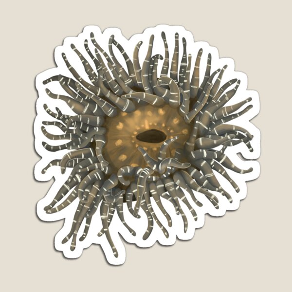 Item preview, Moonglow Sea Anemone designed and sold by Squiddllr.