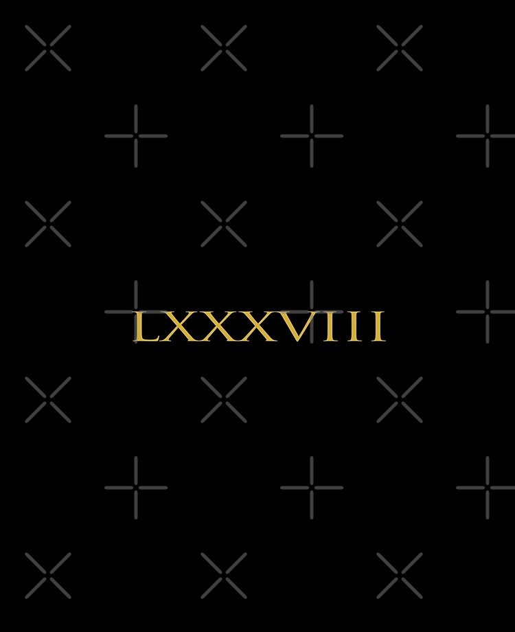 Louis Vuitton Number 55 Roman Numeral Socks