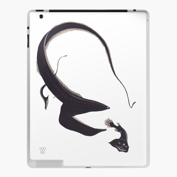Gulper Eel Chasing Deep Sea Fish iPad Skin