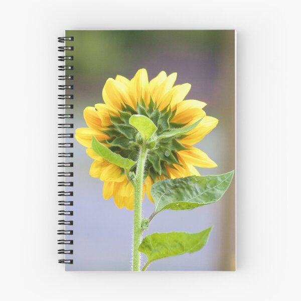 Aperçu de l'œuvre De l'autre photographie de tournesol créée et vendue par Pineappledear.