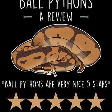 Artwork thumbnail, Ball Python Review by Clara Hollins