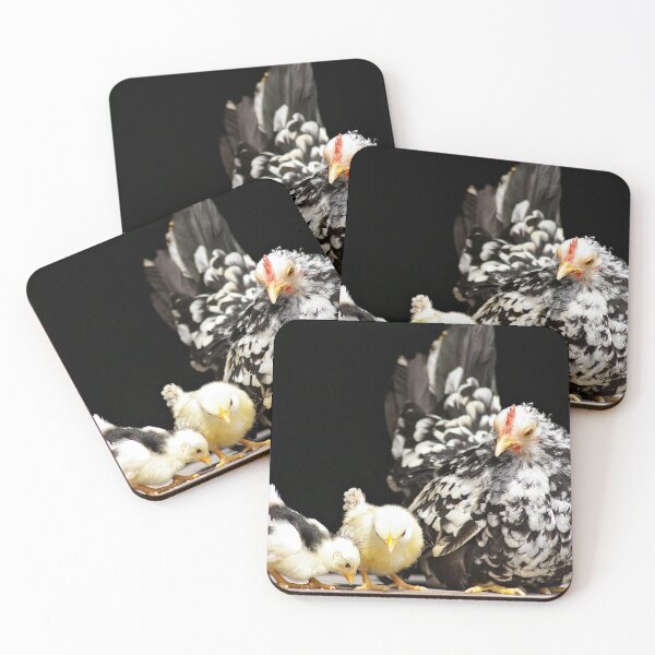 Item preview, Serama Hen and Chicks designed and sold by Kayleigh Wilson.
