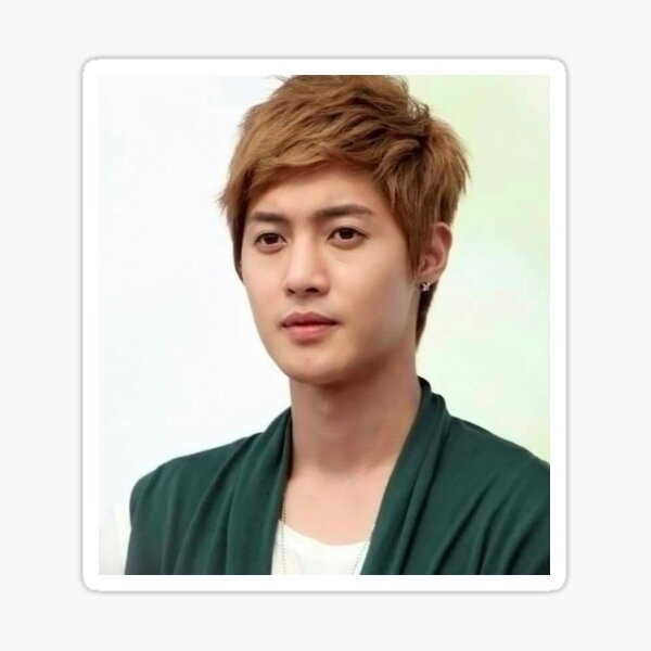 Kim Hyun Joong Pegatina
