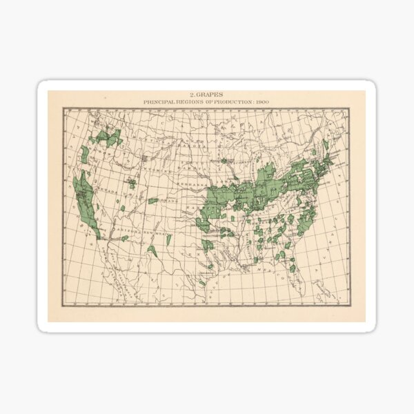 Old US Grape Farms Map (1903) Vintage American Vineyards Atlas Sticker