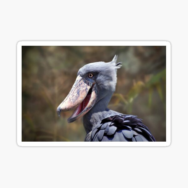 Item preview, ShoeBill  designed and sold by Savannah Gibbs.