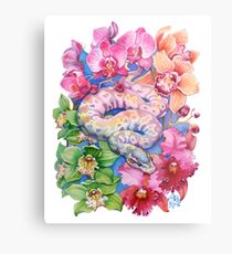 "Year of the Snake" - Chinese Zodiac Watercolour Metal Print