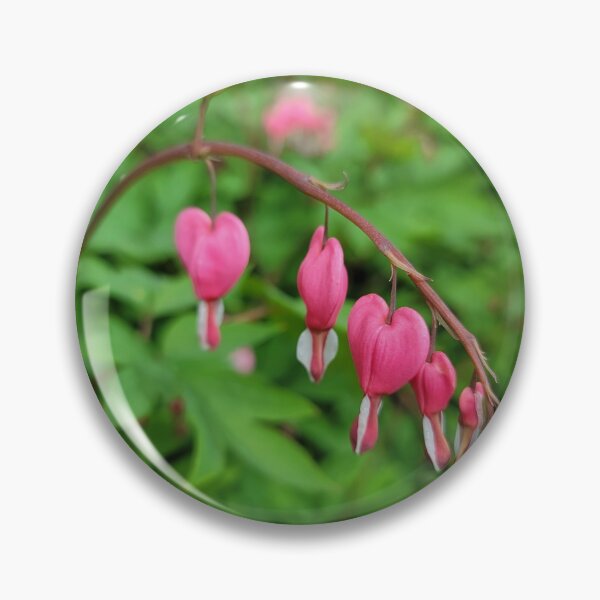 Item preview, My bleeding heart  designed and sold by Ebungay81.